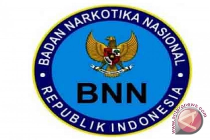 BNN Tangkap Truk Bermuatan 8 Ton Ganja Kering