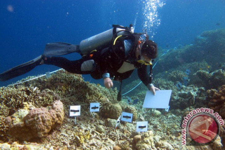 Saving Bunaken from garbage pollution