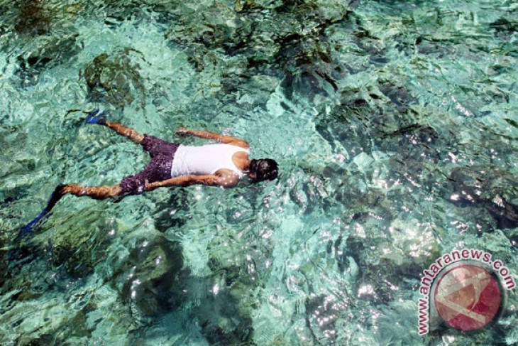 Visitors to West Halmahera enchanted by its natural beauty