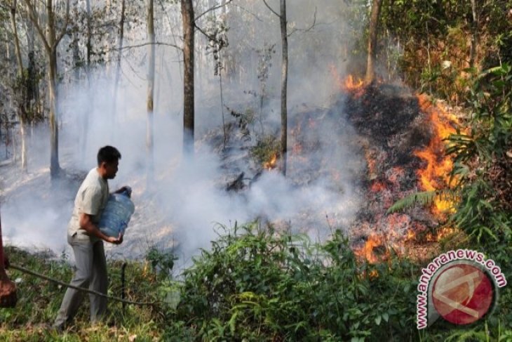 Masyarakat Penajam Diingatkan Jangan Membakar Lahan