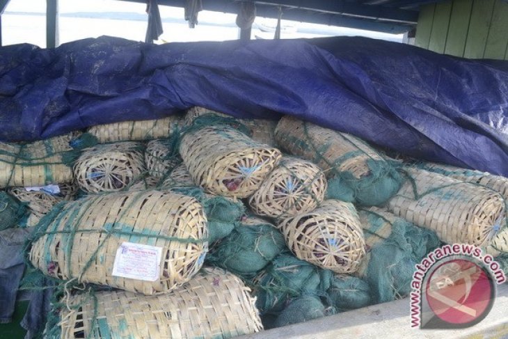 Bawang Merah Selundupan