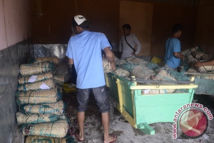 Bawang Merah Selundupan