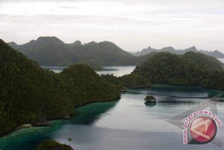 Menko Kesra: Sail Indonesia 2014 di Raja Ampat