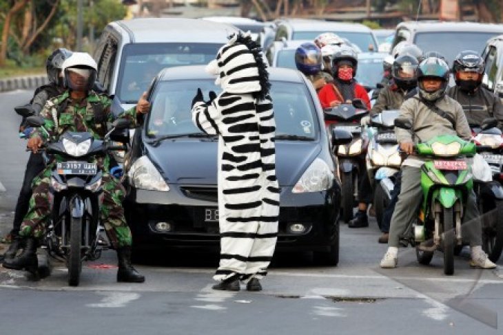 Kampanye Zebra Cross