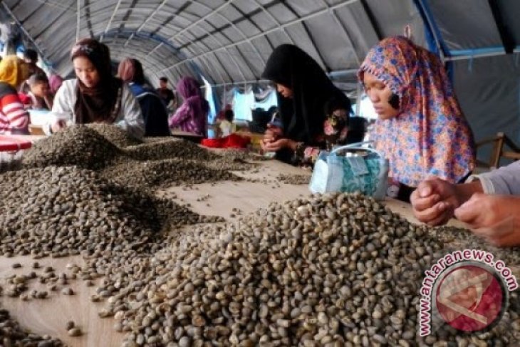 Eksportir keluhkan kopi Gayo ditolak buyer Eropa