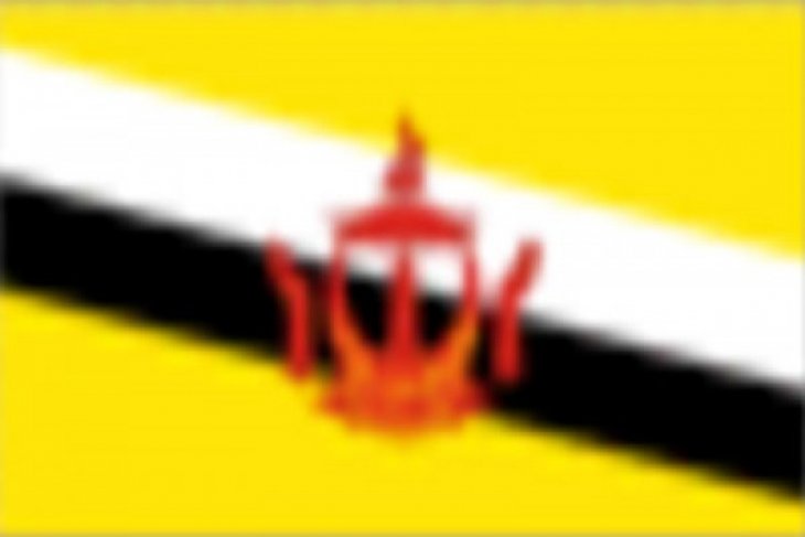Brunei donates 5.5 billion rupiah for C Sulawesi's quake and tsunami victims