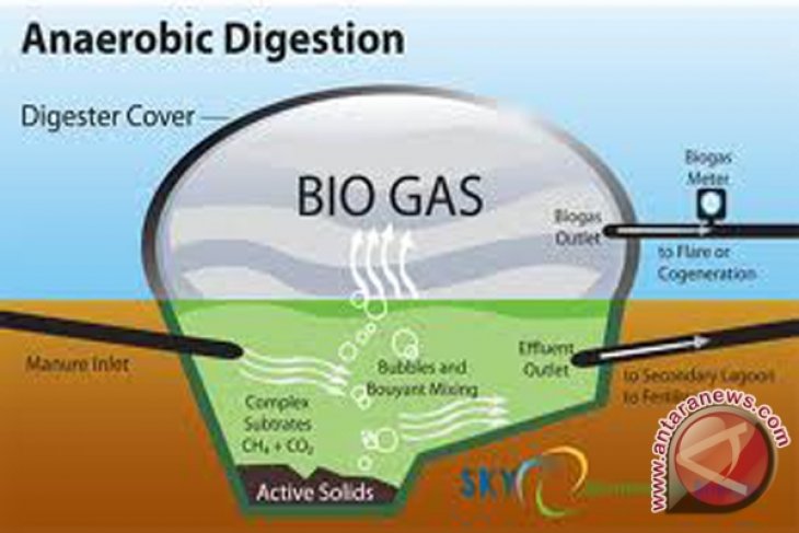 Sumber energi alternatif biogas berasal dari limbah