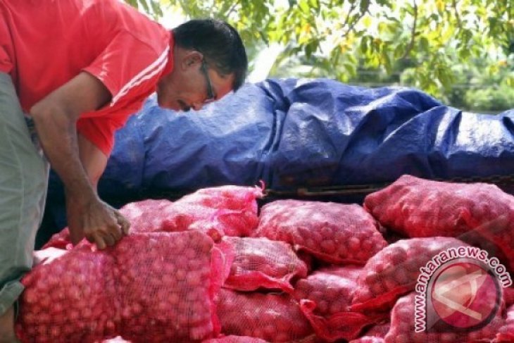 Bawang Ilegal Lhokseumawe