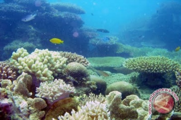 Babel Fokus Bangun Wisata Bahari Tuing Mapur