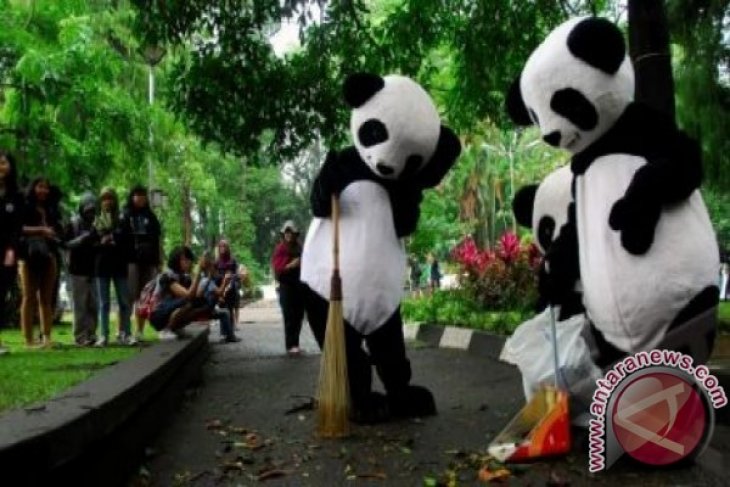 Sosialisasi Bumi Panda