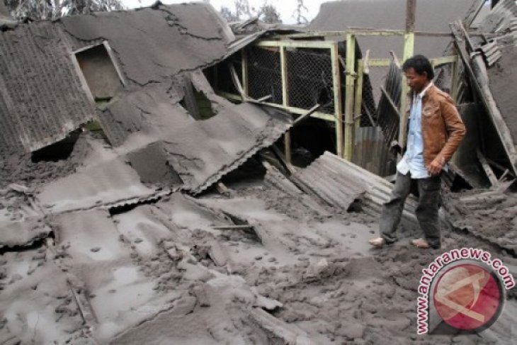 Diselimuti Abu Vulkanik Gunung Sinabung