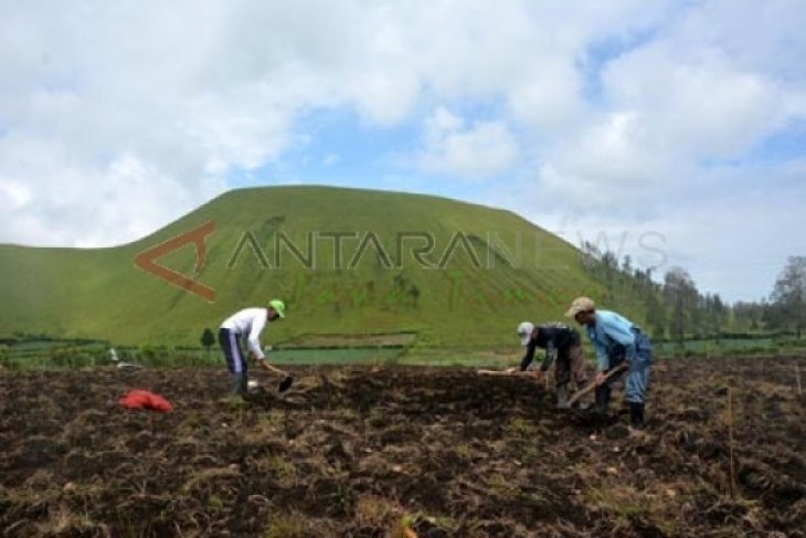 Energi Panas Bumi