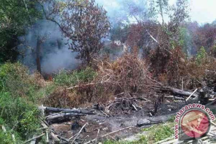 Kabut Asap Selimuti Kota Pontianak