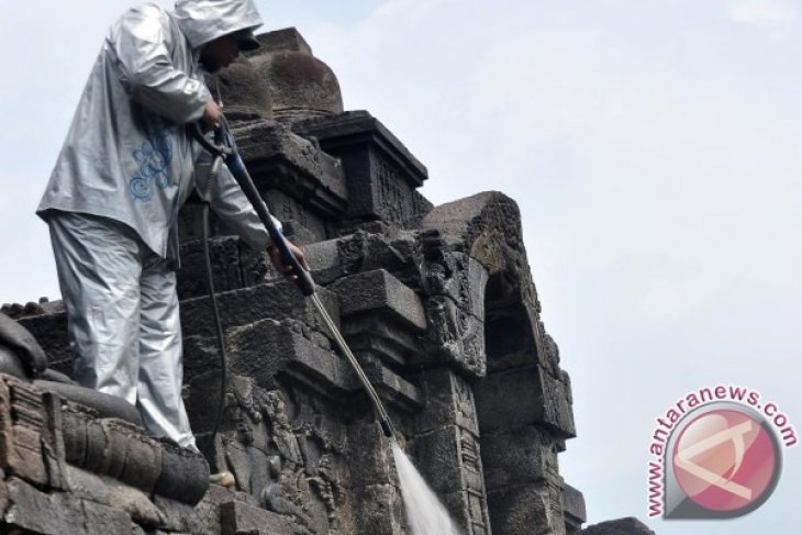 Pembersihan Permukaan Candi Borobudur 