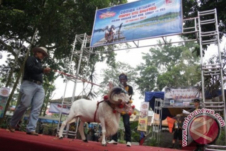 Panggung 'Domba Catwalk 2014'