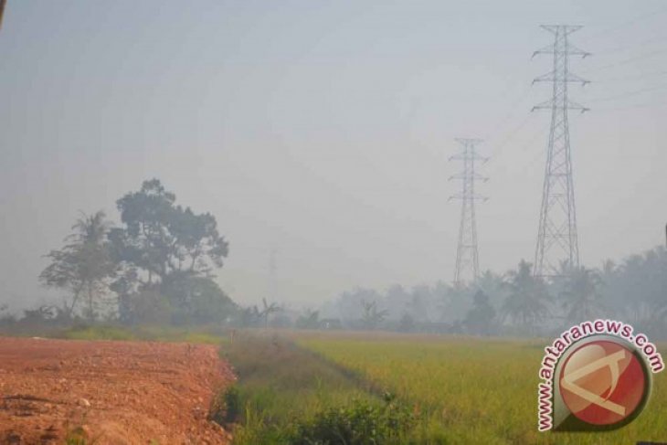 Diselimuti Kabut Asap Pekat