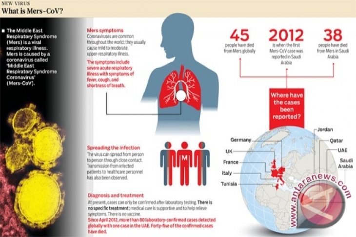 Dokter Mesir meninggal di Saudi akibat MERS