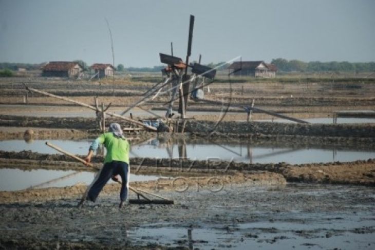 PRODUKSI GARAM