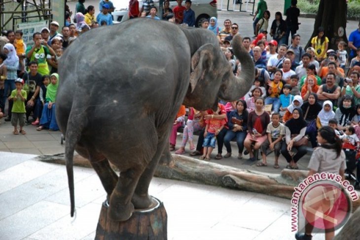 Kunjungan di Kawasan Wisata Meningkat