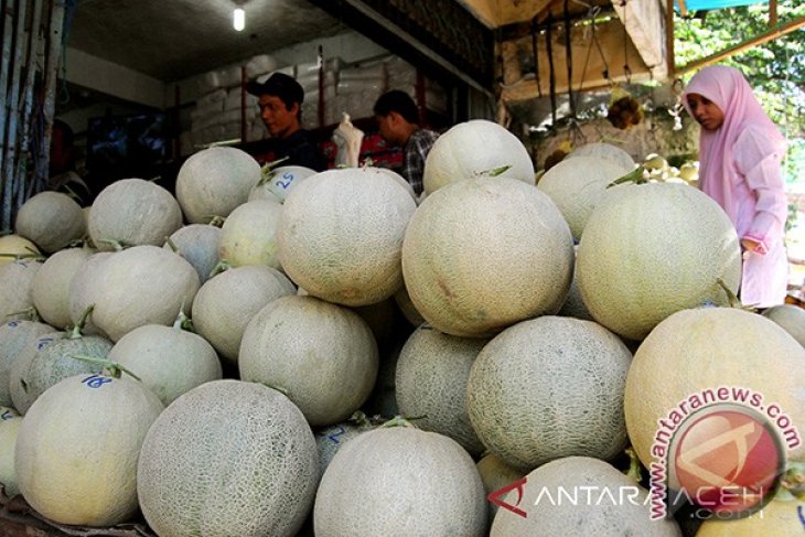 Banjir Buah Melon