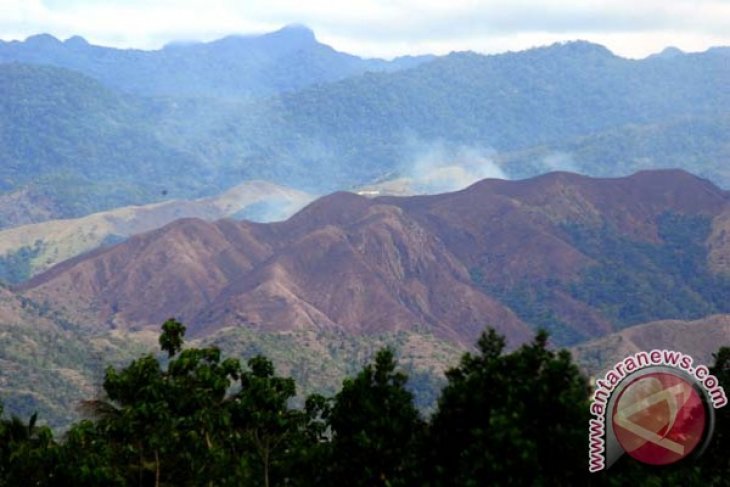 Deforestation in Indonesia increased after moratorium: a study