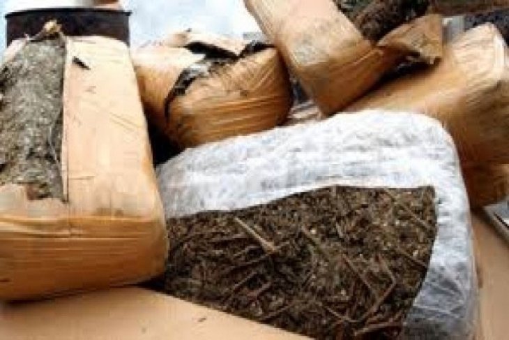 Edarkan Ganja, Tukul Ditangkap Polisi
