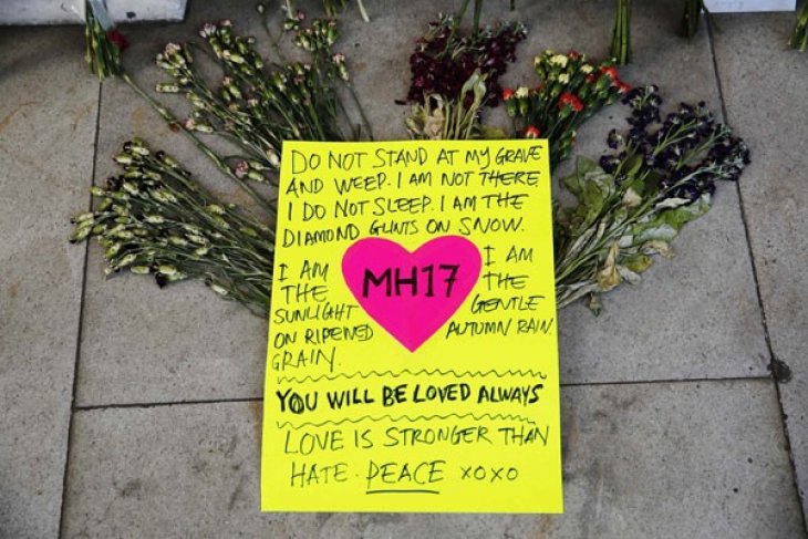 Half of MH17 crash victims identified: Report