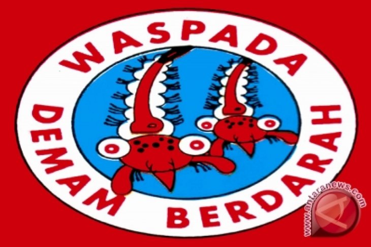 Dinkes Bangka Tengah Temukan Dua Kasus DBD