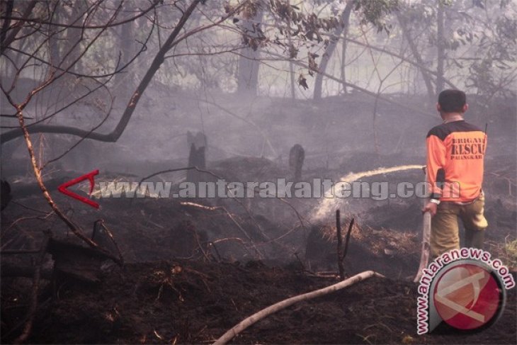 BPK Aulia Padamkan Lahan Terbakar