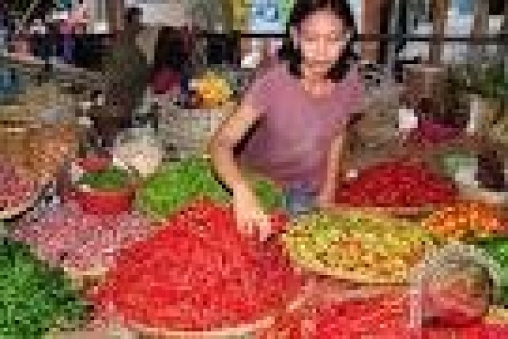 Banten Tetapkan Cabai Dan Bawang Komoditas Unggulan