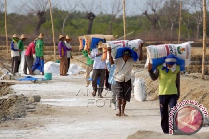 Harga Garam Naik