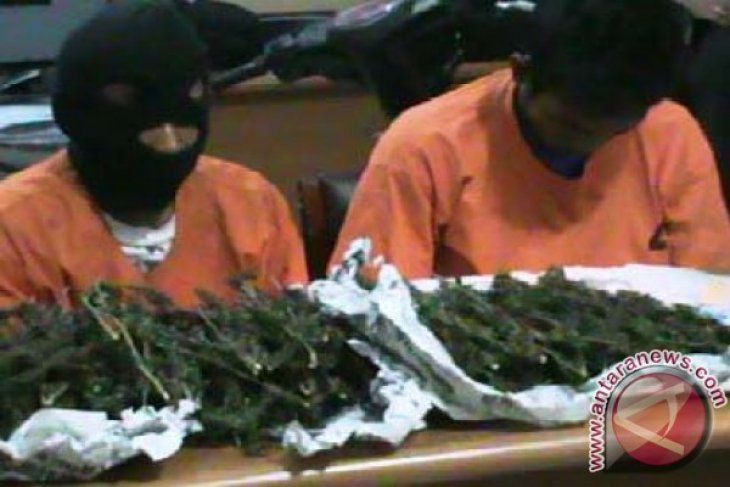 Polisi ringkus tiga tersangka pengguna narkoba