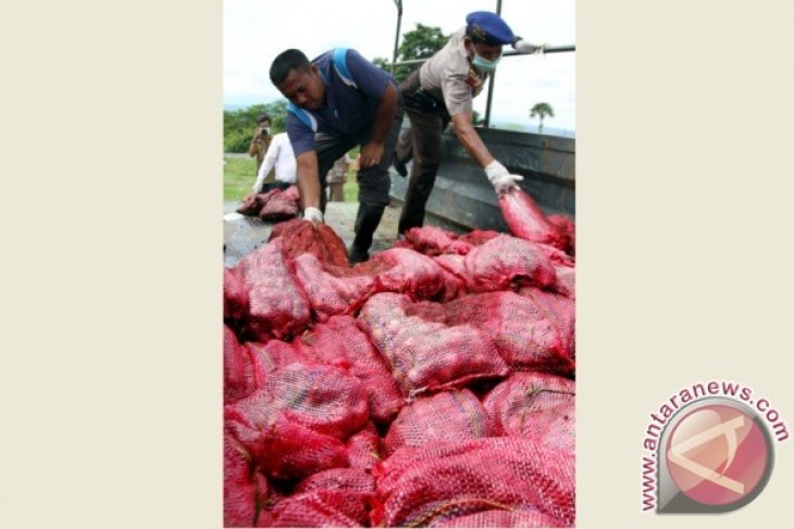 Polisi Musnahkan Bawang Ilegal