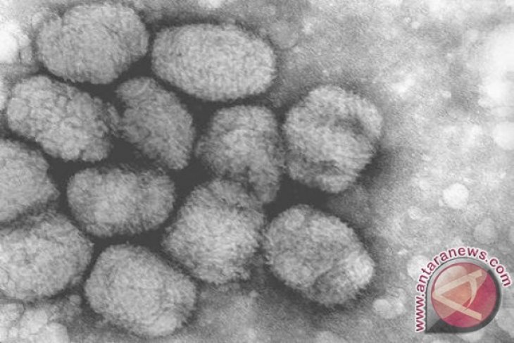 Waspadai Virus