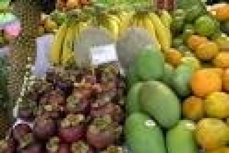 Banten Berpeluang Kembangkan Komoditas Unggulan