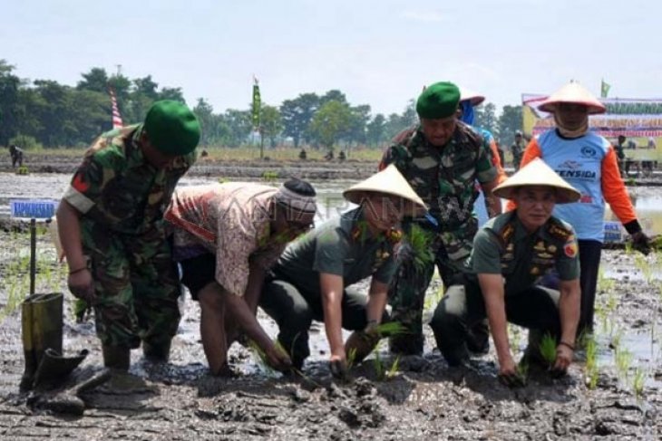 Gerakan Tanam Padi