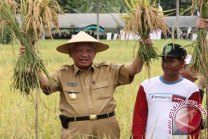 Kaltim Bertekad Wujudkan Swasembada Beras
