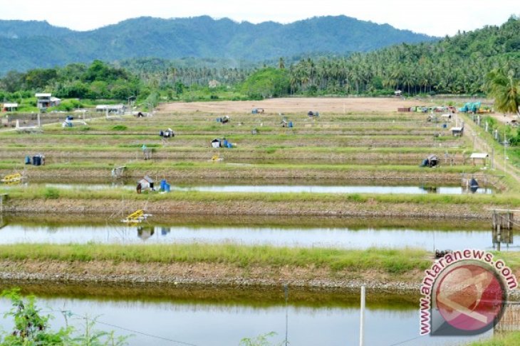 BUMN Hadir Untuk Negeri Bagi Bumi Udang Bratasena