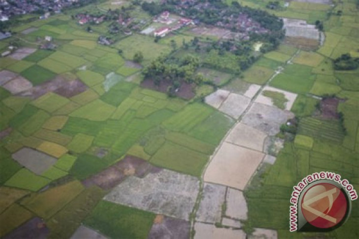 Landak realisasikan program Satu Peta