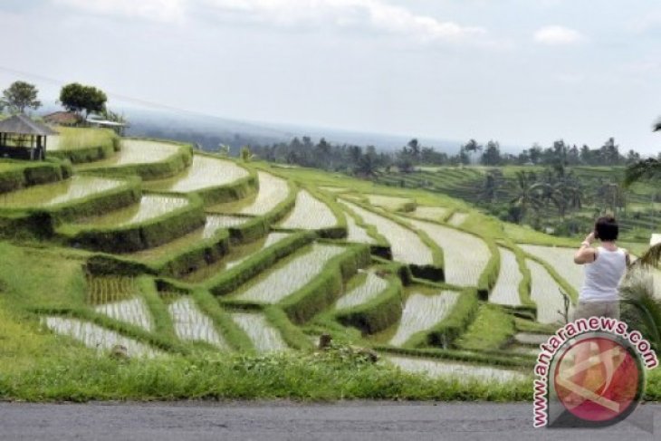 Kunjungi Subak Pulagan, UTN Singapura siap digitalkan WBD