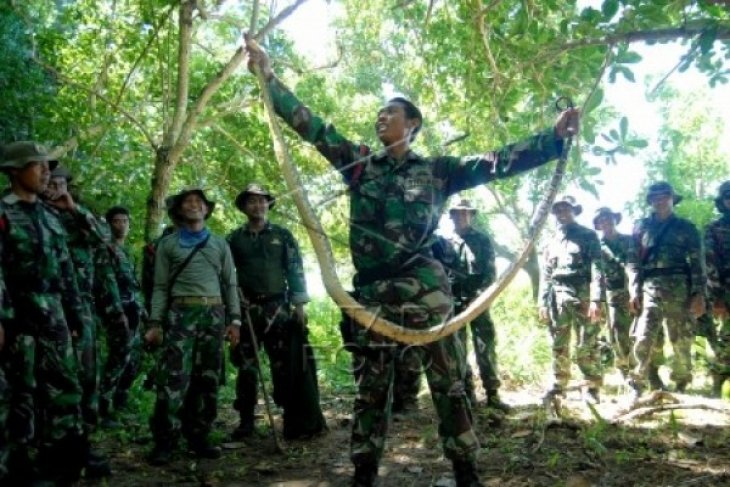 Patroli Pasukan Intai Amfibi