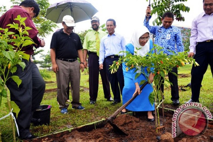 Dewan Minta Pemkot Teliti Penetapan Lahan RTH - ANTARA News Kalimantan ...