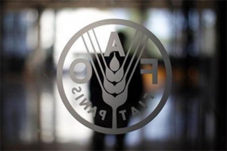 FAO assists farmers, fishermen to recover from natural disasters