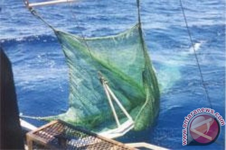 Mengapa nelayan dilarang menangkap ikan menggunakan pukat harimau