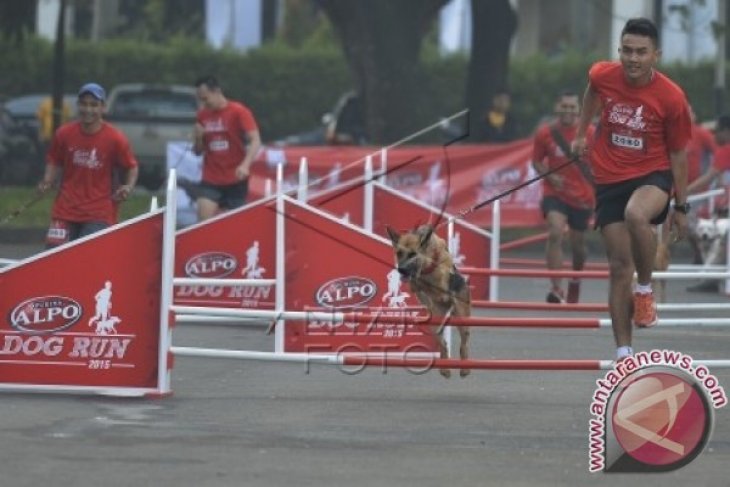 Alpo Dog Run 2015