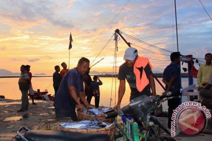 Tangkapan Ikan Menurun