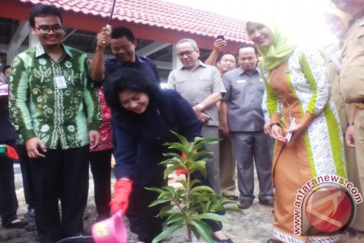 Menteri Kesehatan Tanam Pohon di Depan RSUD Bangka Tengah