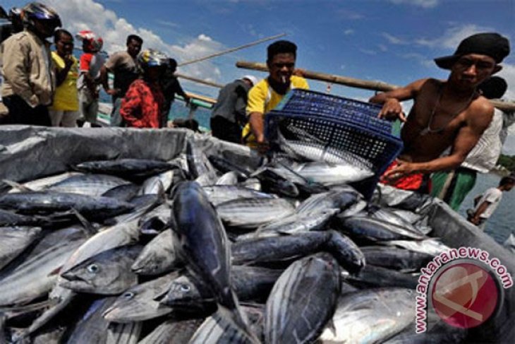 Target Produksi Ikan Tangkap Karawang Sulit Tercapai