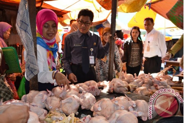 Monitoring Pasar