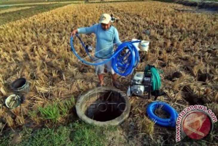 BPBD Provinsi Gorontalo imbau warga cegah kebakaran hutan